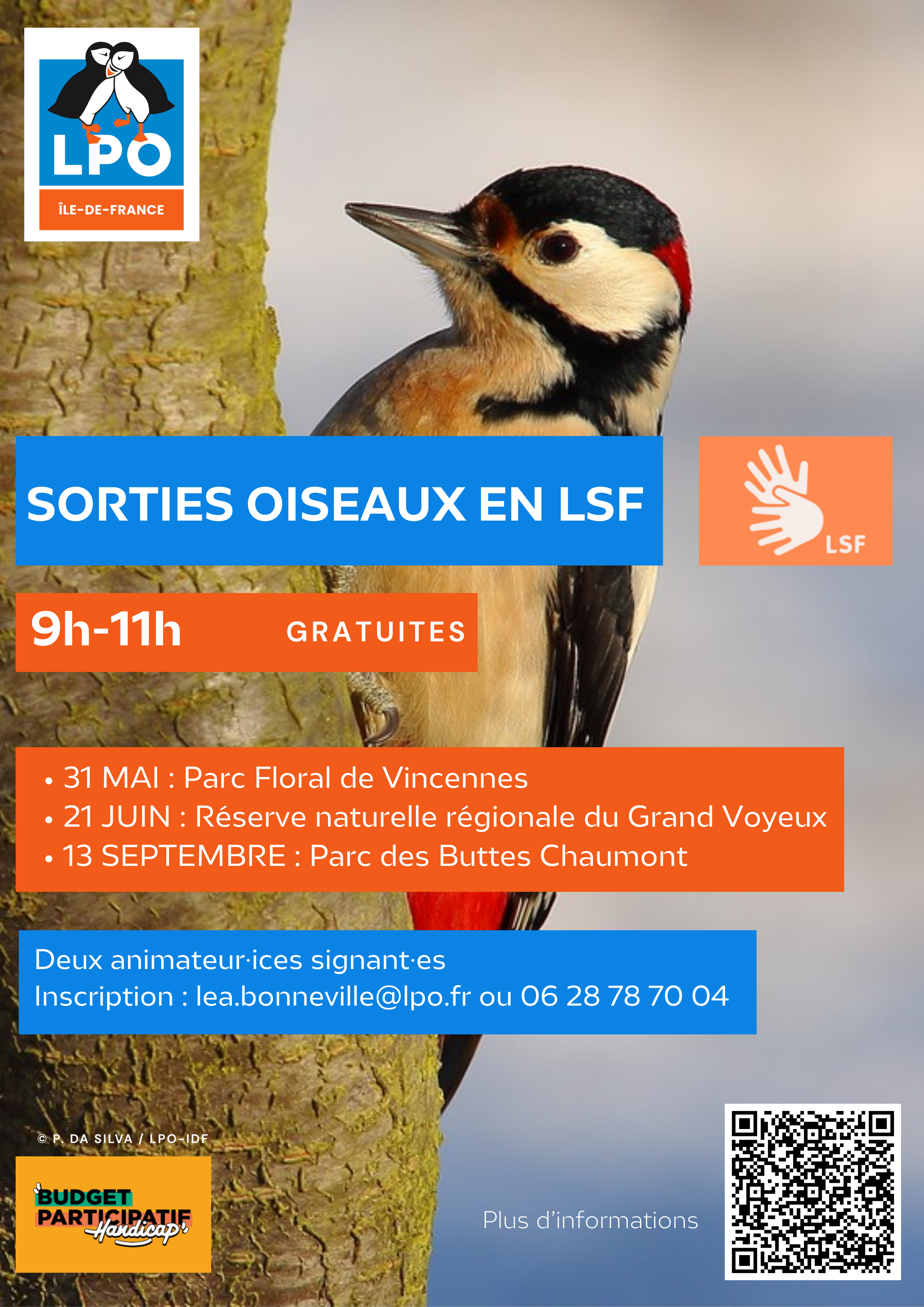 Des sorties ornitho en LSF